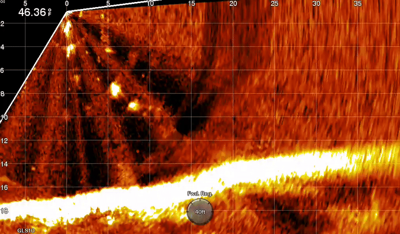 Muestra del Radar