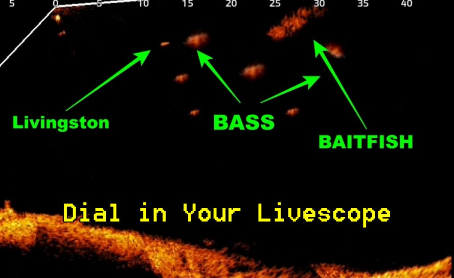 Configuración de LiveScope para la pesca de lubinas