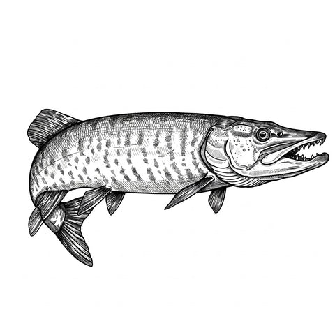 Señuelo para Salmón