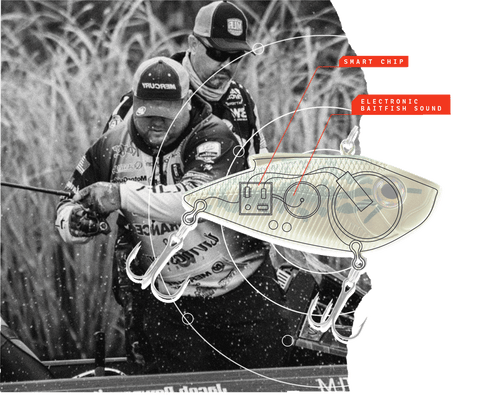 Tecnología EBS - Señuelos Livingston Lures